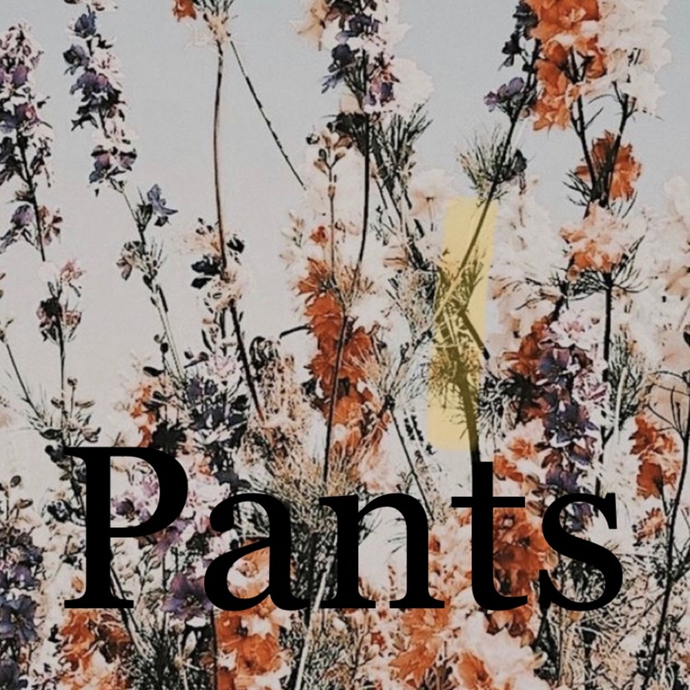 P A N T S